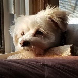 Meet your Posher, Stacey